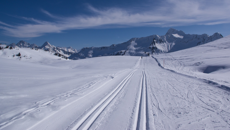Trasa do biegów narciarskich. Fot. pixabay.com