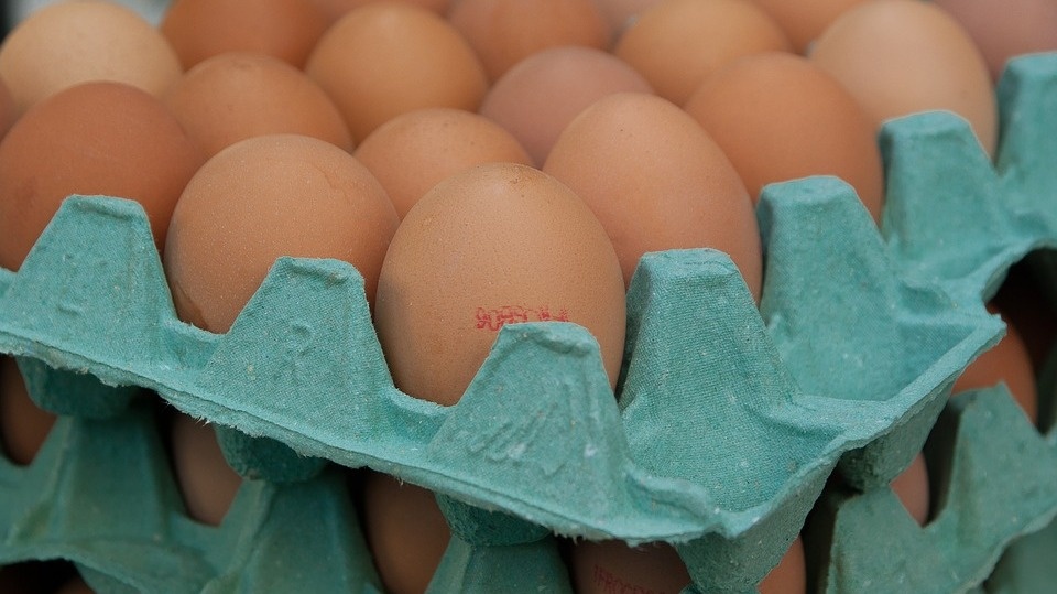 Decyzja o wycofaniu jaj jest spowodowana obecnością pozostałości antybiotyku lazalocyd w ilości przekraczającej maksymalny dopuszczalny poziom. Fot. pixabay.com
