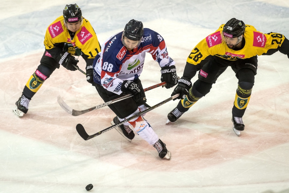 Zdjęcie z meczu Energa Toruń kontra Tauron GKS Katowice w 11. kolejce ekstraklasy hokejowej 2018/2019. Fot. pixabay.com