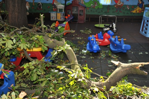 Wielka gałąź spadła na przedszkolny plac zabaw w Toruniu Widok makabryczny