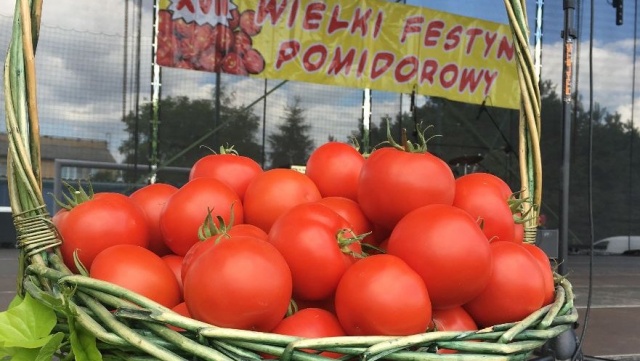 Wielki Festyn Pomidorowy w Jeziorach Wielkich. Wakacyjne Radio PiK też tam było