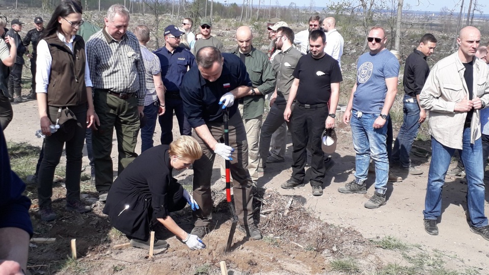 Prezydent i Pierwsza Dama podczas sadzenia lasu w gminie Rytel. Fot. Kamila Zroślak