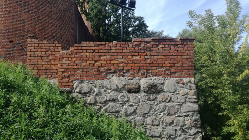 Mur zamku świeckiego robi się szczerbaty. Ktoś kradnie z niego cegły./fot. Marcin Doliński