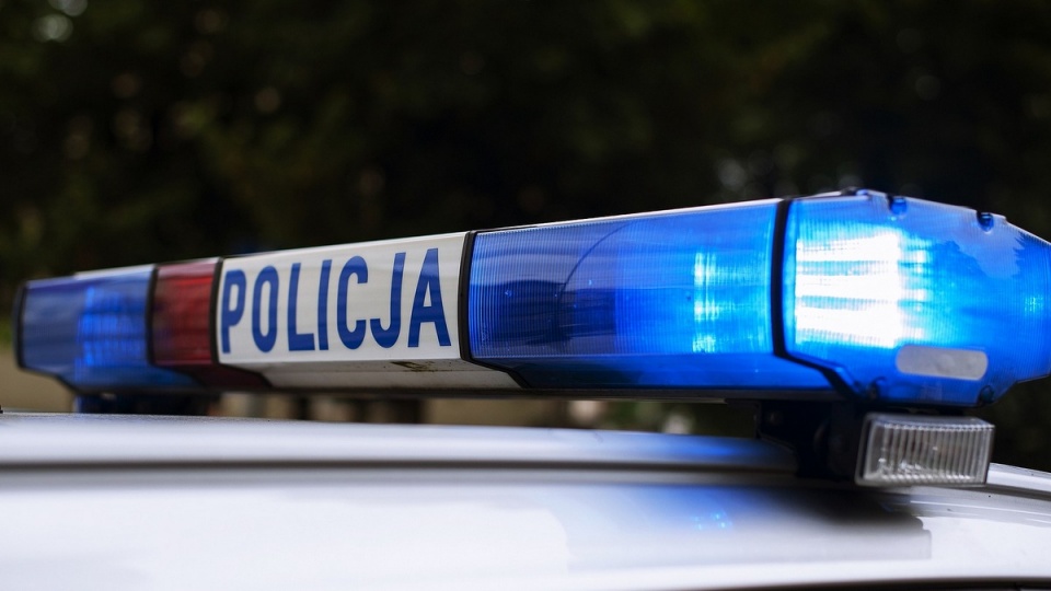 Policja złapała pijanego kierowcę. Uciekał mając w aucie kobietę w ciąży i sześcioletnie dziecko./fot. Pixabay