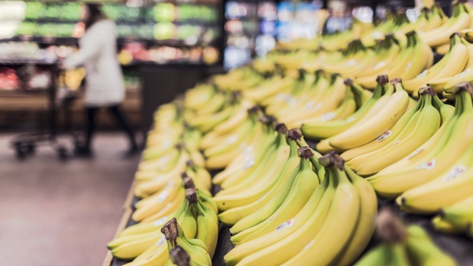 Banki Żywności pozyskują na co dzień od sklepów i producentów owoce, warzywa, mleko, pieczywo czy mięso, ratując je przed zmarnowaniem/fot. Pixabay