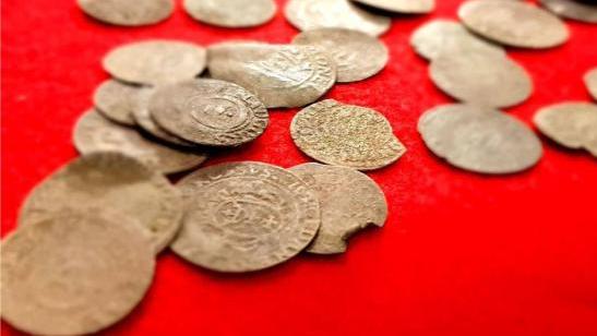 Skarb na terenie Nadleśnictwa Cierpiszewo: szwedzkie monety z XVI i XVII wieku