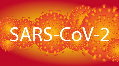 Koronawirus SARS-CoV-2 i choroba COVID-19. Co musisz wiedzieć