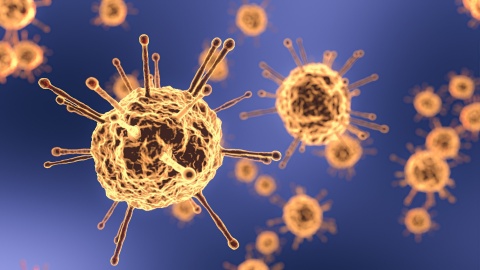Minister zdrowia powołał zespół ds. badań genomu i mutacji wirusa SARS-CoV-2