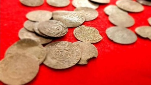 Skarb na terenie Nadleśnictwa Cierpiszewo: szwedzkie monety z XVI i XVII wieku