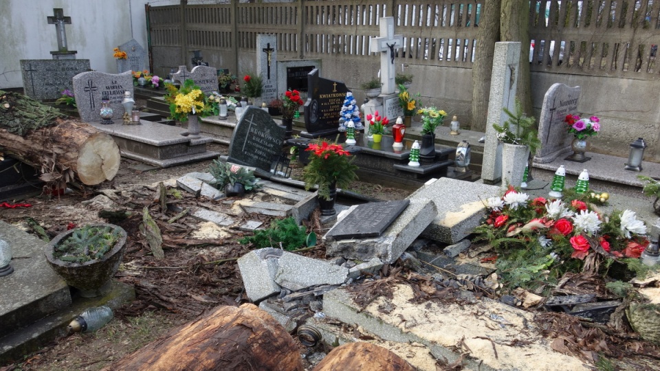 Zniszczone nagrobki na cmentarzu przy ul. Ludwikowo w Bydgoszczy/fot. Andrzej Krystek