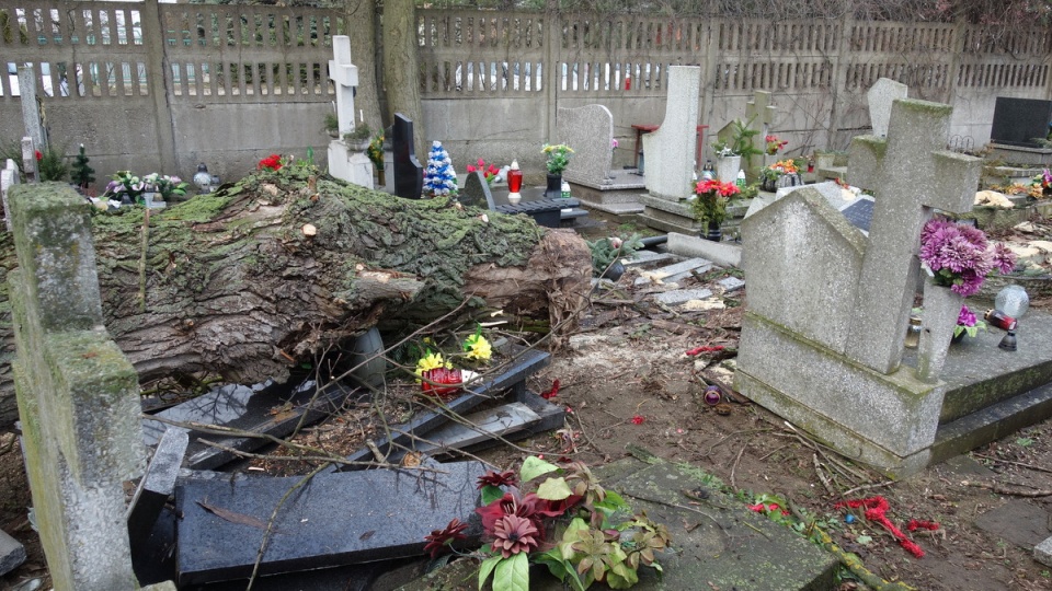 Zniszczone nagrobki na cmentarzu przy ul. Ludwikowo w Bydgoszczy/fot. Andrzej Krystek