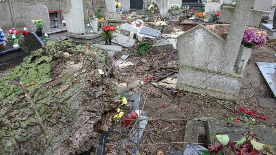 Zniszczone przez wichurę nagrobki na cmentarzu przy ul. Ludwikowo w Bydgoszczy/fot. Andrzej Krystek