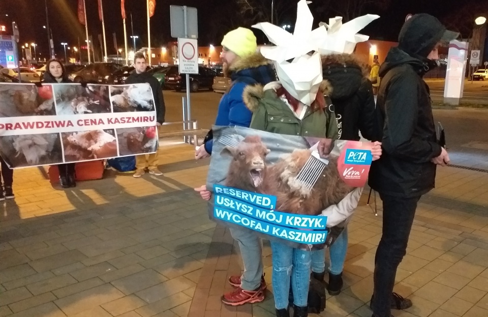 Bydgoski protest Fundacji VIVA przeciwko nieludzkiemu pozyskiwaniu kaszmiru od kóz./fot. Adriana Andrzejewska - Kuras