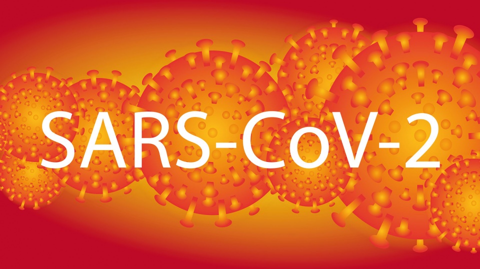 Od 14 marca 2020 r. do odwołania na obszarze Rzeczypospolitej Polskiej ogłasza się stan zagrożenia epidemicznego w związku z zakażeniami wirusem SARS-CoV-2. Fot. Pixabay.com