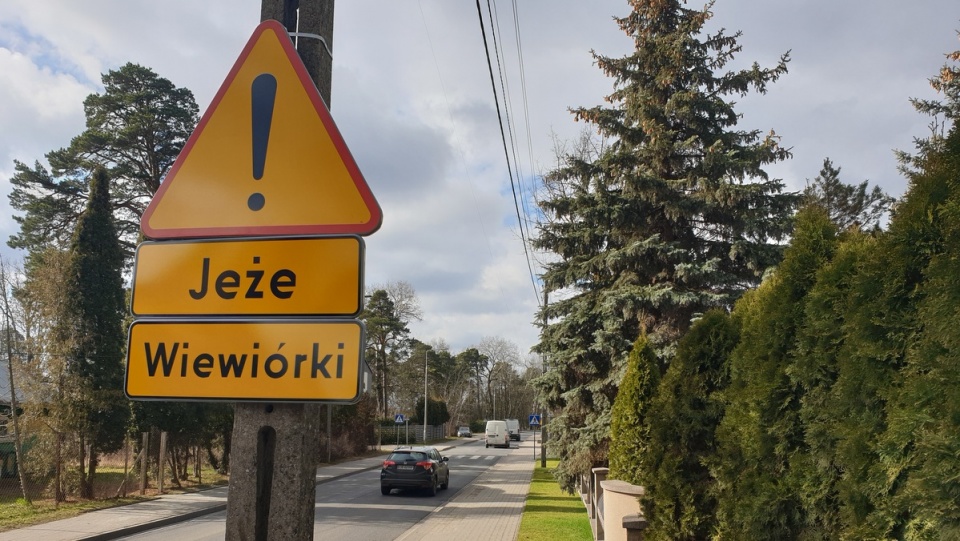 Nowe znaki drogowe w Bydgoszczy./fot. ZDMiKP Bydgoszcz