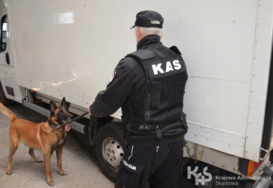 Funkcjonariusze kujawsko-pomorskiej KAS wykryli podczas kontroli samochodu ciężarowego 2,2 mln sztuk nielegalnych papierosów. Fot. Nadesłane
