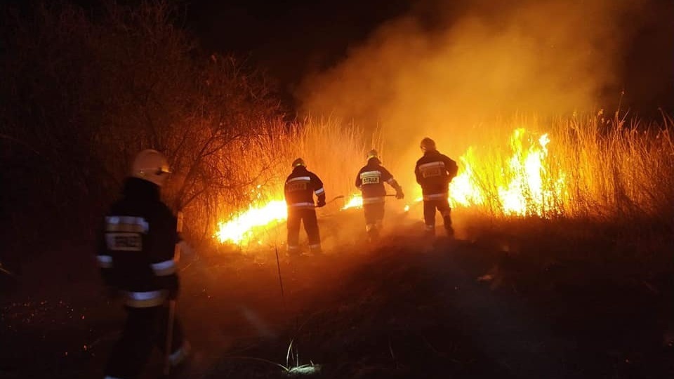 Gaszenie pożaru przez strażaków trwało od soboty wieczora do niedzieli rano. Fot. OSP Jeziora Wielkie