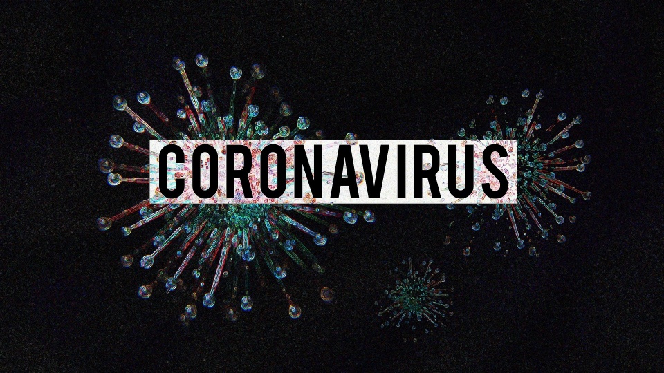 W sobotę (28.03.) w Polsce przybyło 157 chorych na koronawirusa./fot. Pixabay
