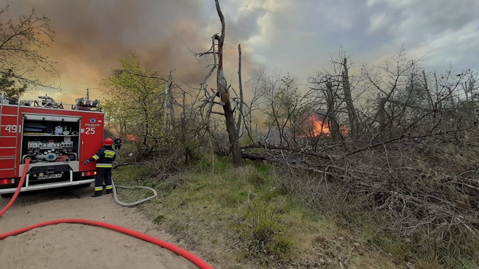 Około czterech hektarów lasu spłonęło w Paterku. Fot. OSP Nakło nad Notecią