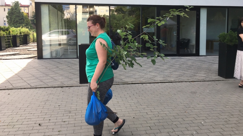 Mieszkańcy Bydgoszczy - ale nie tylko - zaopiekują się drzewkami, które wyrosły na działce przy ulicy Karłowicza, a teraz muszą zostać wykarczowane. Fot. Elżbieta Rupniewska