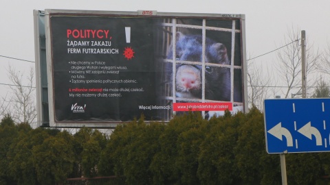 Nie dla ferm futrzarskich w Polsce. Billboardowa akcja na ulicach
