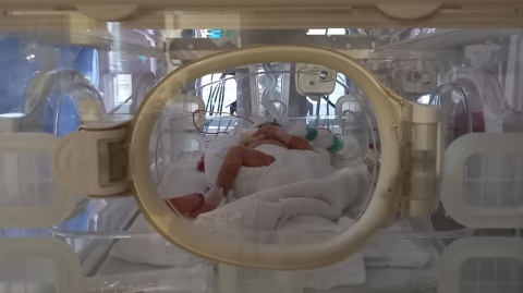 A premature baby is important, but so are his parents 