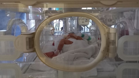 A premature baby is important, but so are his parents