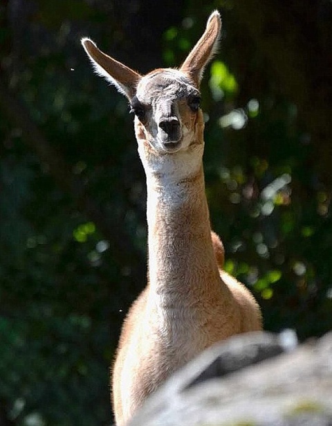 17 października 2025 (powtórka)