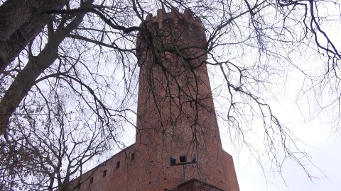 Zamek Krzyżacki w Świeciu (jw)