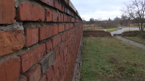 Zamek Krzyżacki w Świeciu (jw)
