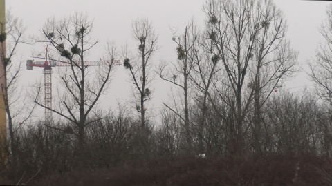 Widok na Bydgoszcz z Tarasu Wschodniego, czyli z Wyżyn (jw)