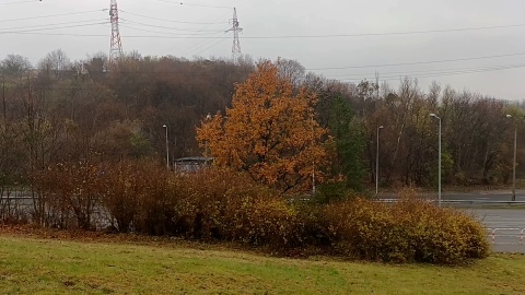 Jesień na osiedlu "Na skarpie" w Bydgoszczy (jw)