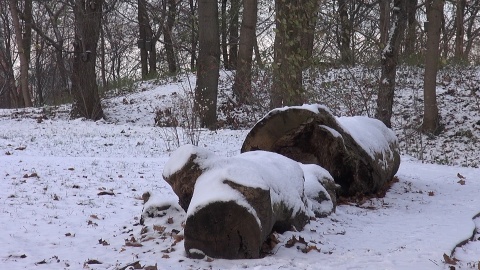 Zima w bydgoskim Parku Wolności (jw)