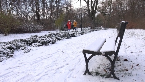 Zima w bydgoskim Parku Wolności (jw)