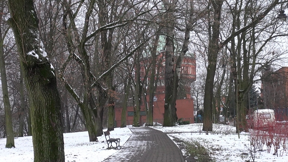 Park na Wzgórzu Dąbrowskiego. W tle Wieża Ciśnień. (jw)