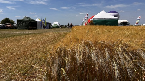 Targi Agrotech i Kujawsko-Pomorskie Dni Pola 2025 w Minikowie. Fot. Ireneusz Sanger