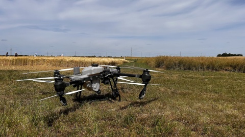 Targi Agrotech i Kujawsko-Pomorskie Dni Pola 2025 w Minikowie. Fot. Ireneusz Sanger