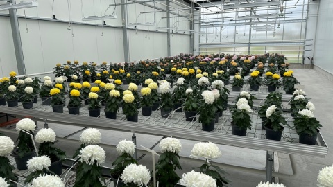 Otwarcie szklarni badawczej w Chrząstowie/fot. Tomasz Kaźmierski