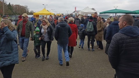 Święto gęsi na Krajnie. Fot Jolanta Fischer