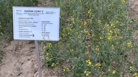 Spotkanie pn. „Co w polu piszczy”. Fot. Ireneusz Sanger