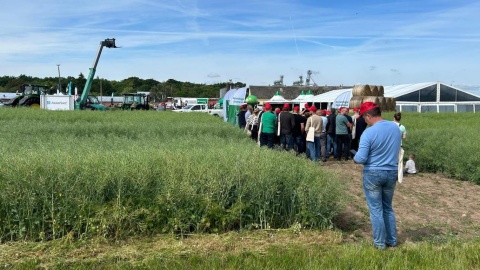 Mistrzowskie Pola Agro-Sieci w Grubnie. Fot. Ireneusz Sanger