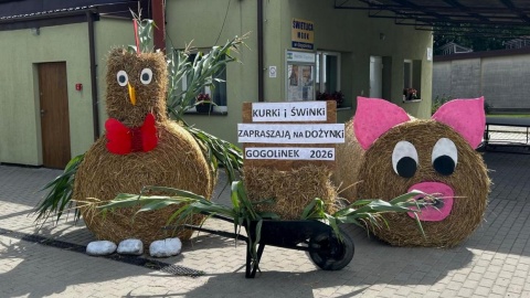 Witacz w Gogolinku. Fot. Ireneusz Sanger