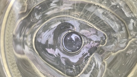 Centrum Demonstracyjne Odnawialnych Źródeł Energii. Fot. Tomasz Kaźmierski