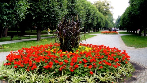 W Ciechocinku, tam gdzie Park Zdrojowy... Fot. Henryk Żyłkowski