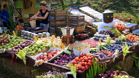 Fot. Henryk Żyłkowski