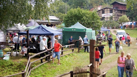 Fot. Henryk Żyłkowski