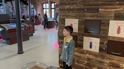 Zajęcia w Młynach Rothera/fot. Tomasz Kaźmierski