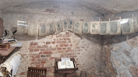 W średniowiecznych piwnicach w Koronowie wystawa zielnika sporządzonego przez cystersów. Tu odbywają się lekcje regionalnej historii/fot. Żaneta Walentyn