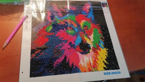 Z wizyty w Domu Pomocy Społecznej w Siemionkach. Fot. Monika Siwak/PR PiK