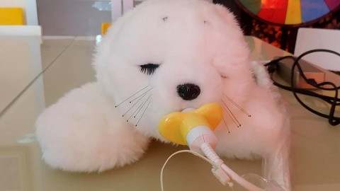 Z wizyty w Domu Pomocy Społecznej w Siemionkach. Fot. Monika Siwak/PR PiK